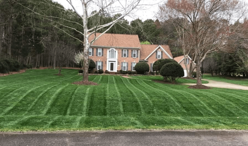 Lawn Mowing