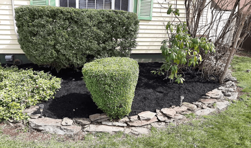 Mulching