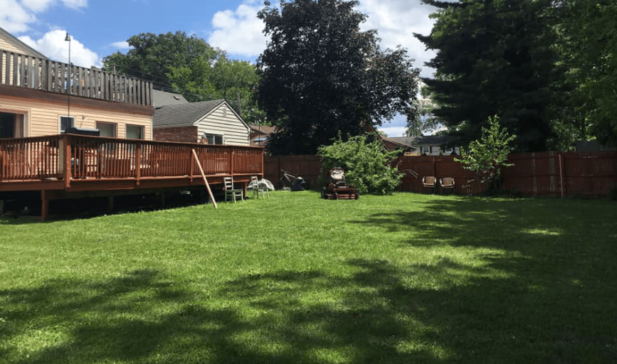 Yard Cleanup